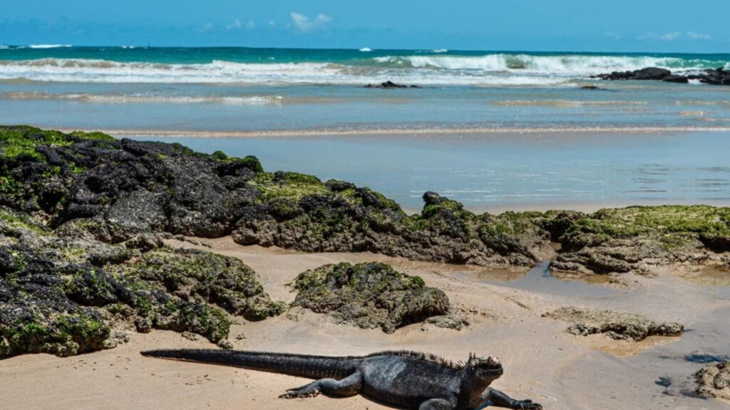 Galápagos National Park