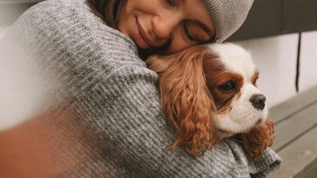 Cavalier King Charles Spaniel