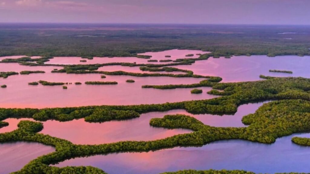 Everglades National Park