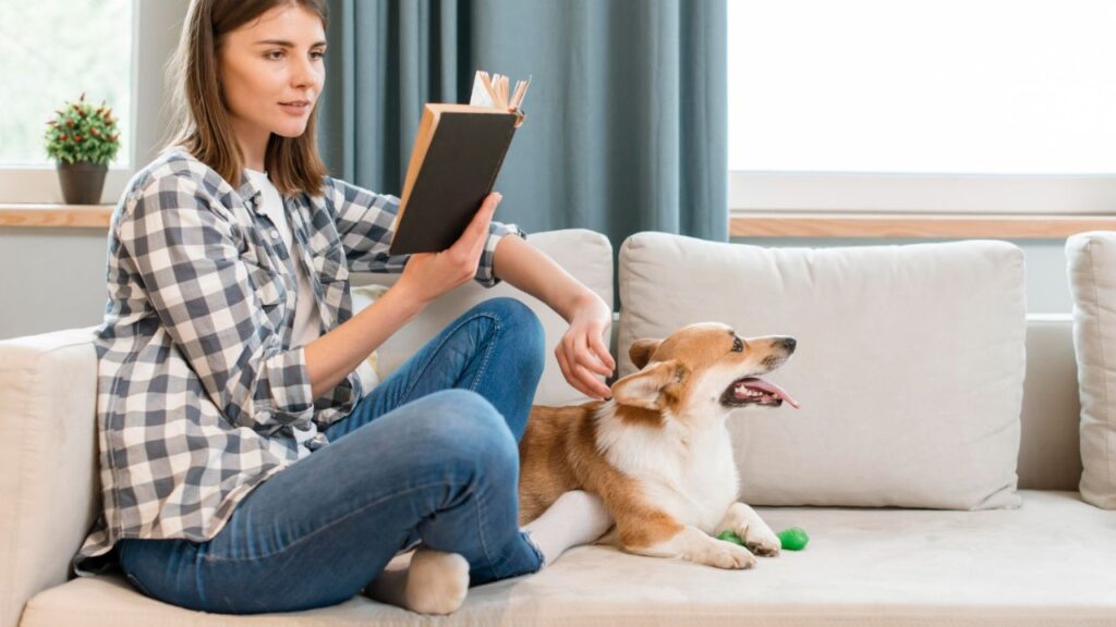 pet owner reading book vet consultation