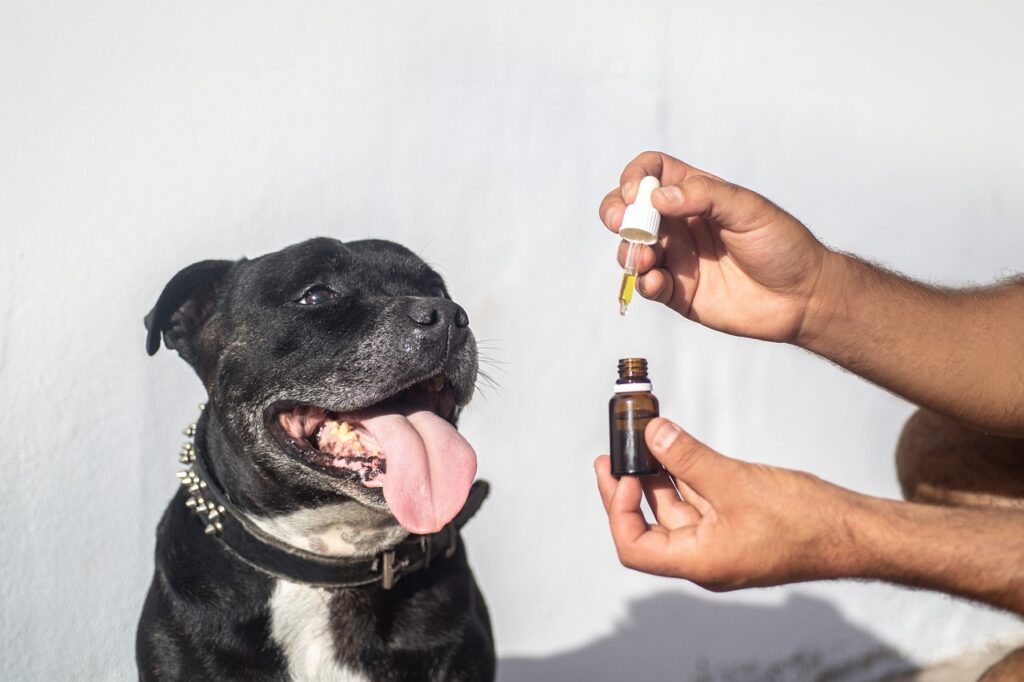 Dog with dropper