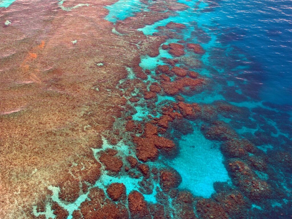 great-barrier-reef-261726_1280