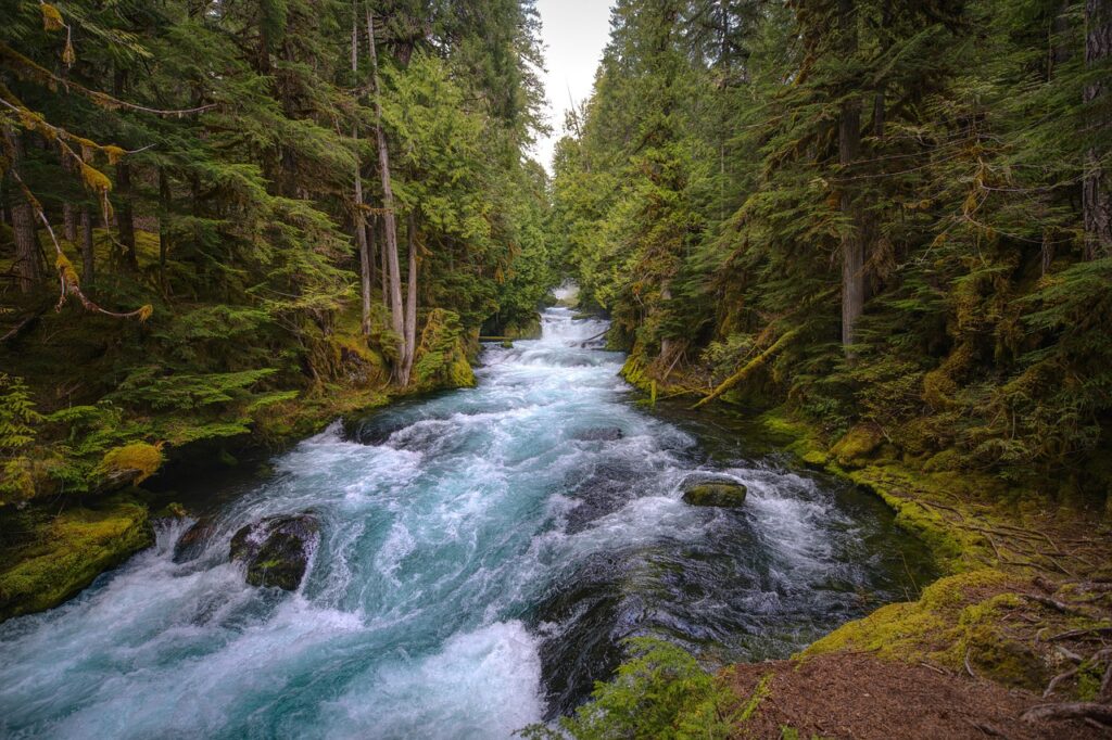 Oregon’s Steens Mountain Wilderness