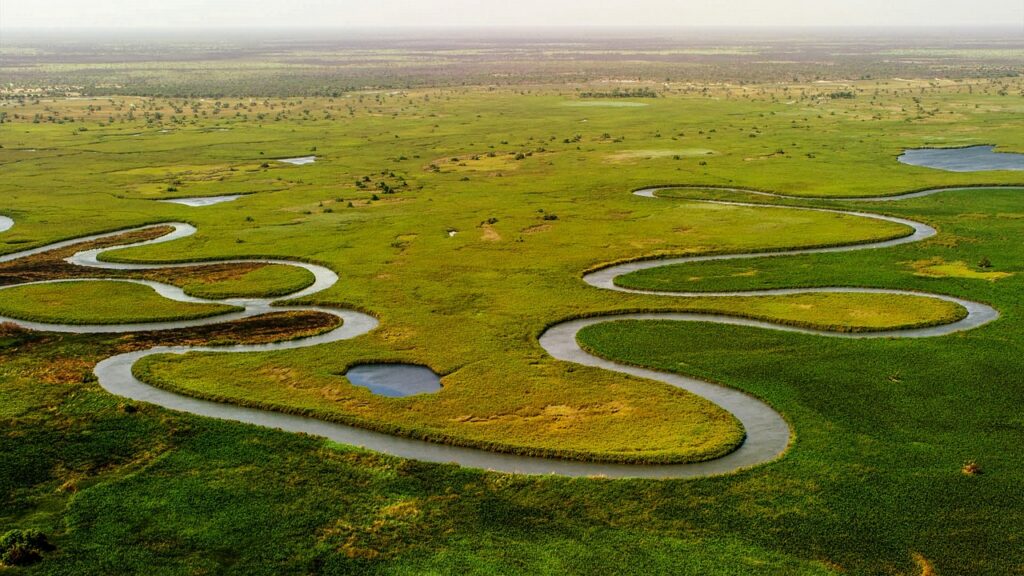 okavango-delta-5158380_1280