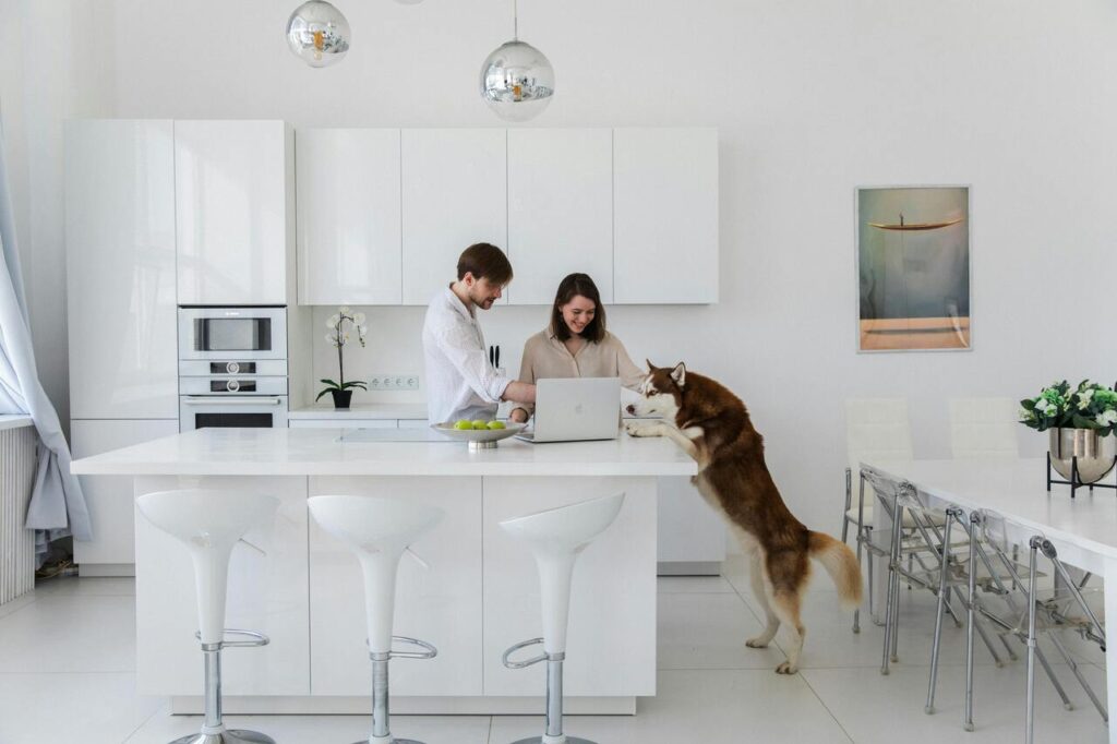 dog in kitchen 