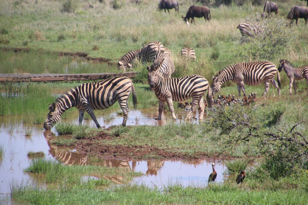Serengeti National Park