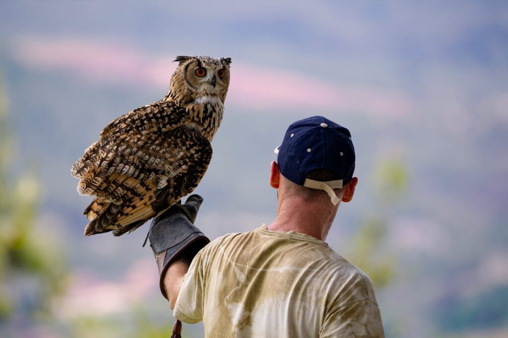 Rescued Owl and Handler