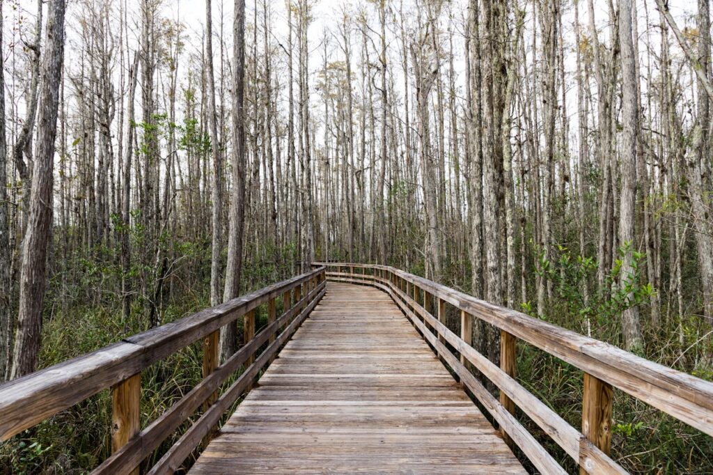 Florida’s Big Cypress National Preserve