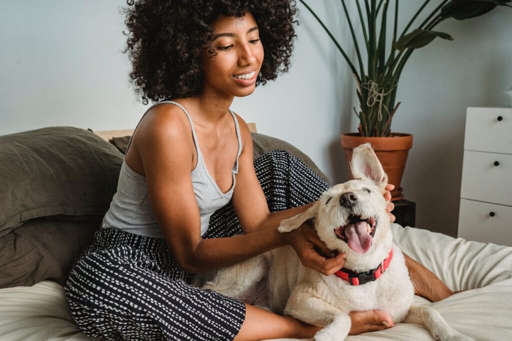 Pet cozy home safe space dog